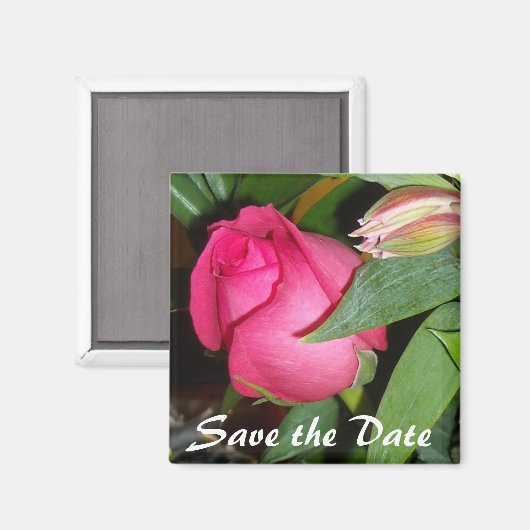 De datum opslaan magneet (Voorkant / Achterkant)