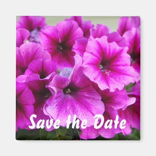 De datum opslaan magneet (Voorkant)