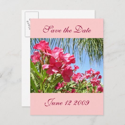 De datum opslaan Oleander Post Kaart (Voorkant / Achterkant)