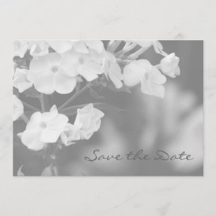 De datum opslaan save the date