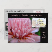 De datum waarop de Briefkaarten op de bruiloft wor (Voorkant / Achterkant)