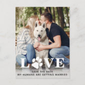 De datum waarop het hondenweddenschap wordt opgesl aankondigingskaart (Voorkant)