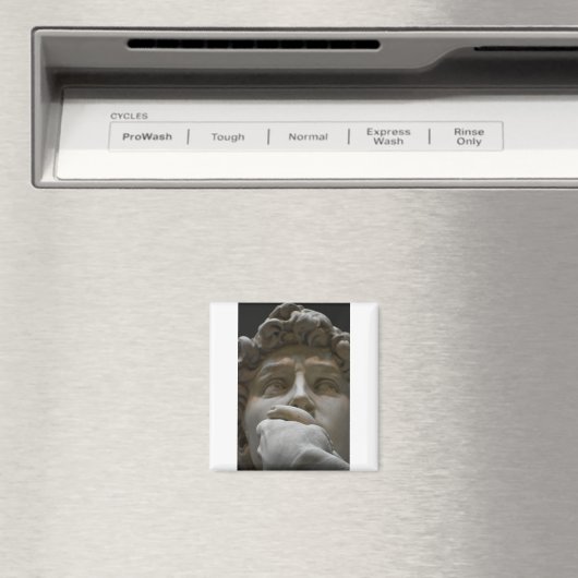 De David Magneet (Insitu (Vaatwasser))