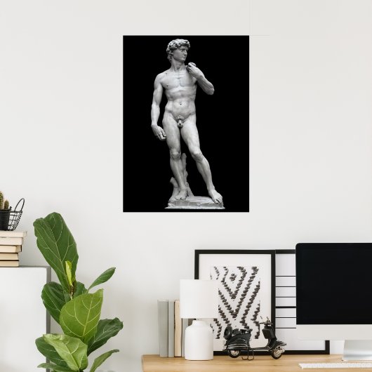 DE DAVID POSTER (Thuiskantoor)