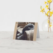 De de dagelijkse Gunst & Glorie van Kaarten (Gele Bloem)