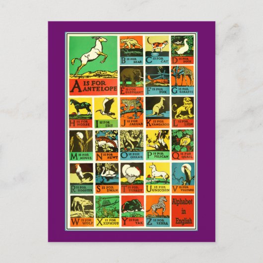 De de dierlijke leraren en leerlingen van de briefkaart (Voorkant)