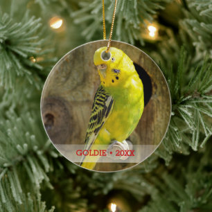 De de gepersonaliseerde Foto van de Vogel van het Keramisch Ornament