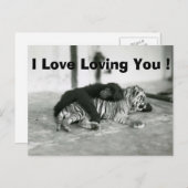 De de grappige Aap en Tijger van de Valentijnsdag Feestdagenkaart (Voorkant / Achterkant)