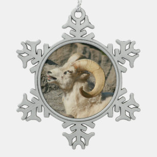 De de grappige het Lachen Schapen of Ram van het B Tin Sneeuwvlok Ornament