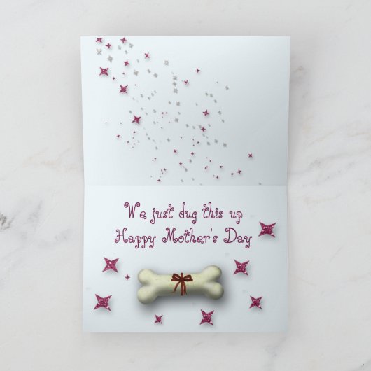 De de grappige Honden & Sterren van de Kaart (Binnen)