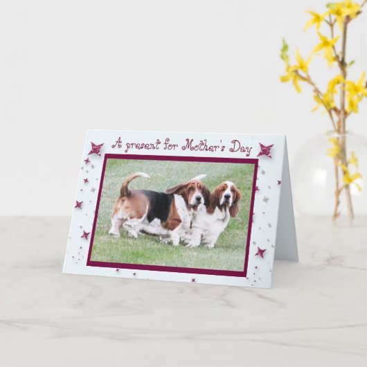 De de grappige Honden & Sterren van de Kaart (Gele Bloem)