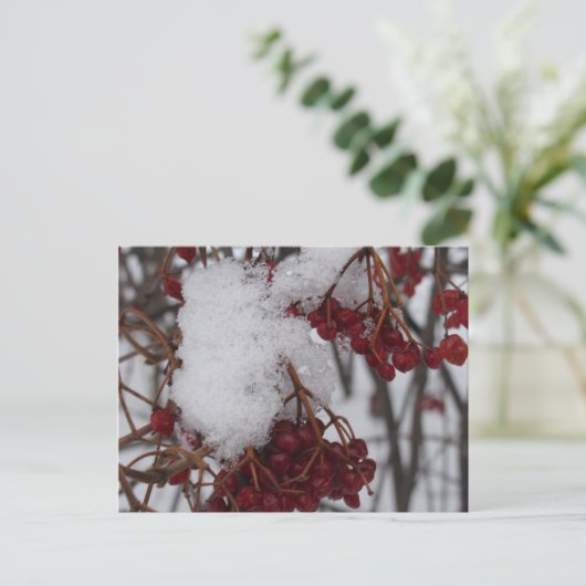 De de Rode Bessen en Sneeuw van het Briefkaart van (Staand voorkant)