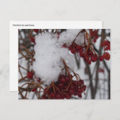De de Rode Bessen en Sneeuw van het Briefkaart van (Voorkant / Achterkant)
