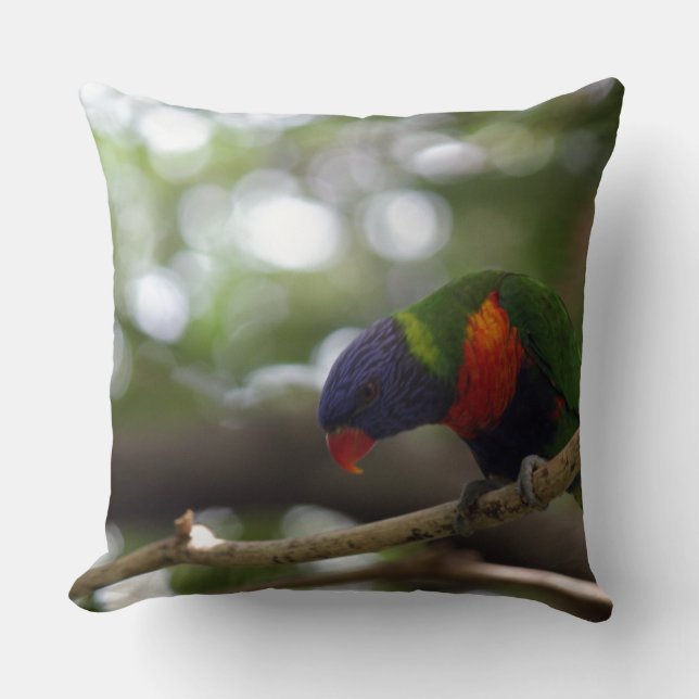 de de tijgerdruk van de papegaaivogel kussen (Voorkant)