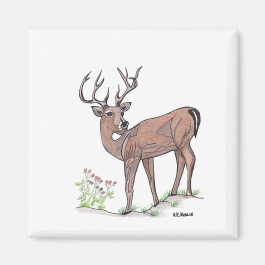 De deer magneet (Voorkant)