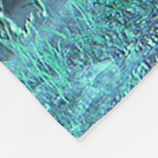 De Deken van de de nachtvacht van de fee (Hoek)