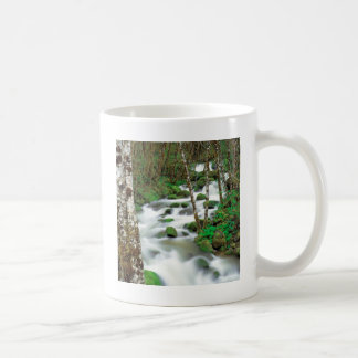 De Deltalders Siskiyou Forest Oregon Koffiemok