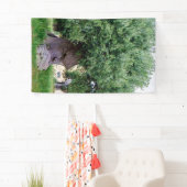 De denkboom in Pugia Spandoek (Insitu)