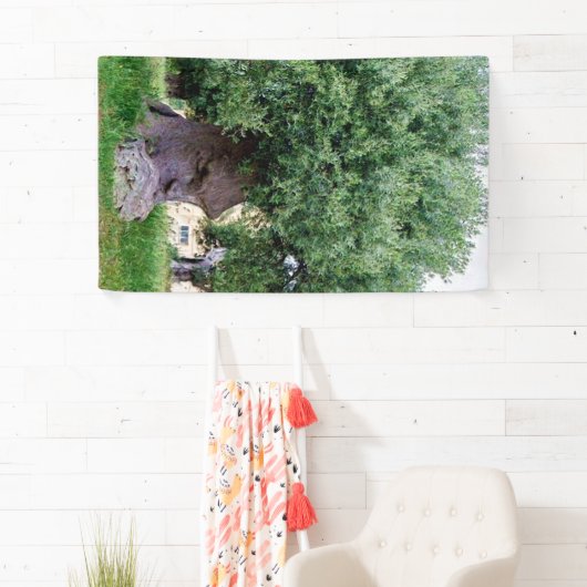 De denkboom in Pugia Spandoek (Insitu)