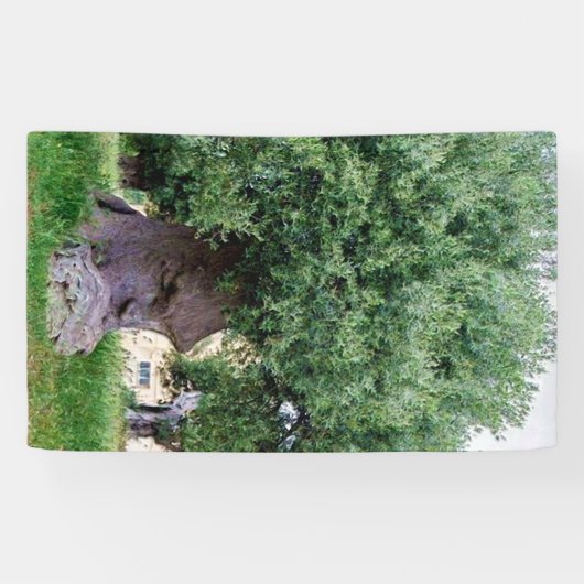 De denkboom in Pugia Spandoek (Horizontaal)