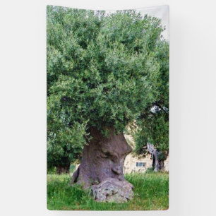 De denkboom in Pugia Spandoek