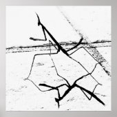 De denkende mantis poster (Voorkant)