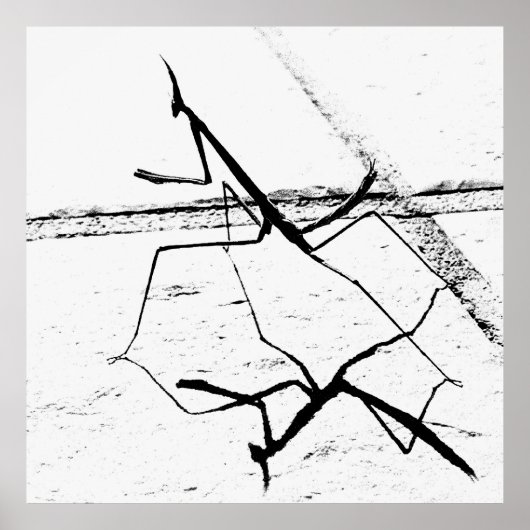 De denkende mantis poster (Voorkant)