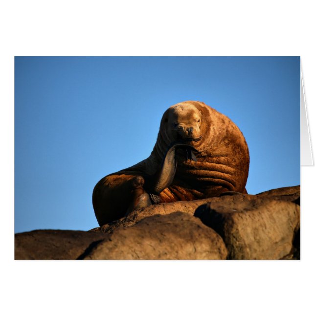 De denker (Voorkant Horizontaal)