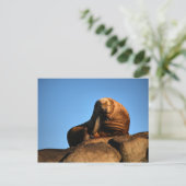 De denker briefkaart (Staand voorkant)