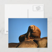 De denker briefkaart (Voorkant / Achterkant)