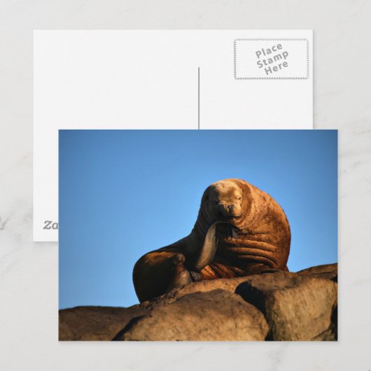 De denker briefkaart (Voorkant / Achterkant)