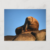 De denker briefkaart (Voorkant)