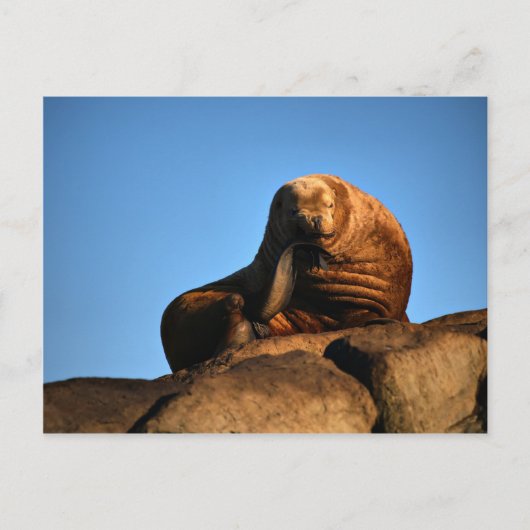 De denker briefkaart (Voorkant)