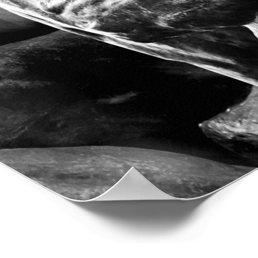 De denker poster (Hoek)