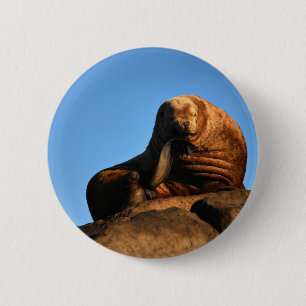 De denker ronde button 5,7 cm