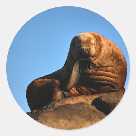 De denker ronde sticker (Voorkant)