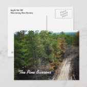 De dennenbomen briefkaart (Voorkant / Achterkant)