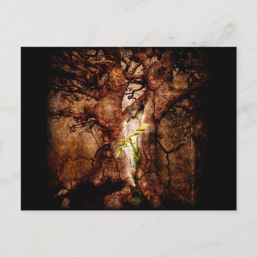 De desolaatjaren herstellen briefkaart (Voorkant)