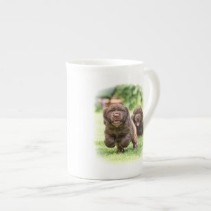 De DIBBLE Bone china mok "Kijk uit of hij komt".