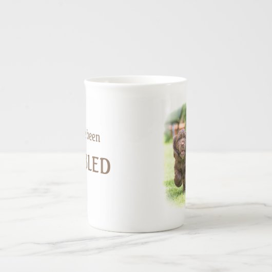 De DIBBLE Bone china mok "Kijk uit of hij komt". (Voorkant)