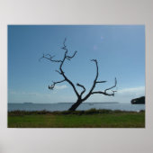 De dichter poster (Voorkant)