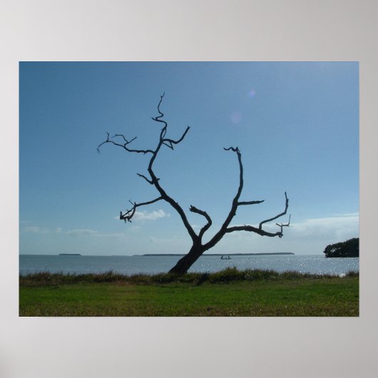 De dichter poster (Voorkant)