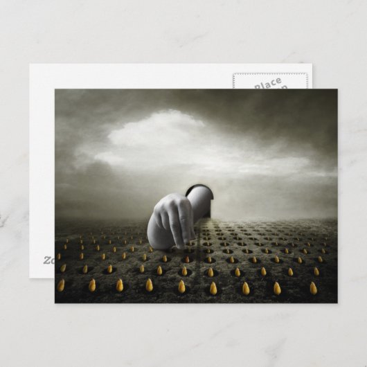 De dief 2013 van de tulp briefkaart (Voorkant / Achterkant)