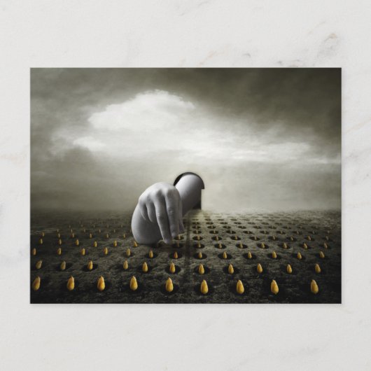 De dief 2013 van de tulp briefkaart (Voorkant)