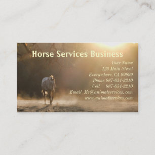 De Diensten van het paard/de Veterinaire Visitekaartje