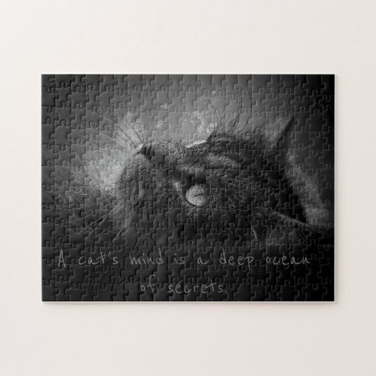 De diepe oceaan van een kattengeest legpuzzel (Horizontaal)