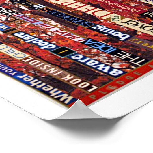 De diepe reiniging van Chaos Poster (Hoek)