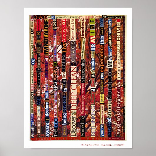 De diepe reiniging van Chaos Poster (Voorkant)