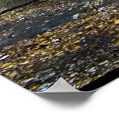 De dieren leven! Dieren spelen muziekinstrumenten Poster (Hoek)