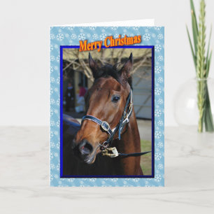 De dieren van het paard prettige feestdagen kaart